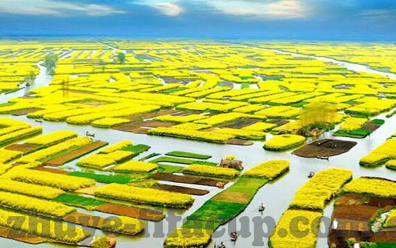 开云app是干嘛的-开云app，打造个性化生活方式的数字化平台